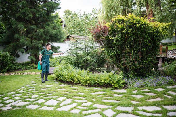 Best Pest Control for Homes  in Eagle Point, AL